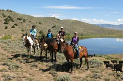 Horseback Riding & Tours in Winter Park 